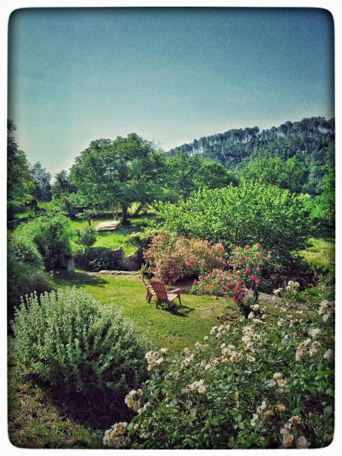 Oracines Du Calme Maison Helianthy Sanilhac  Εξωτερικό φωτογραφία