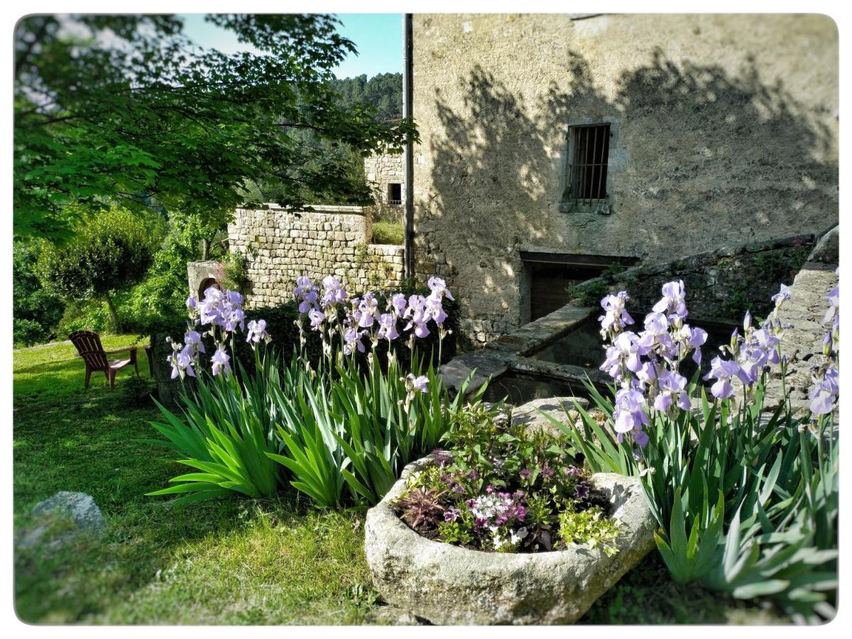 Oracines Du Calme Maison Helianthy Sanilhac  Εξωτερικό φωτογραφία